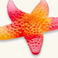 daum mer de corail starfish figurine mini yellow