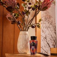 باوباب موزع عطر ماكسي واكس نيليتي