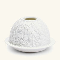 bernardaud borneo lithophanie