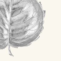 Hazelnut Leaf Bowl Medium Silver buccellati hazelnut leaf bowl medium silver