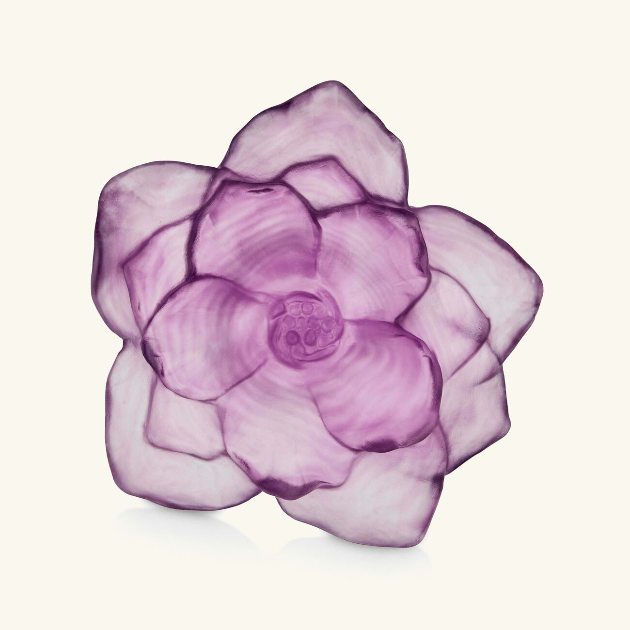 Camellia Centerpiece Small Purple daum camellia centerpiece small purple