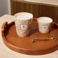 باوباب شمعة بالوما المعطرة ماكس 16