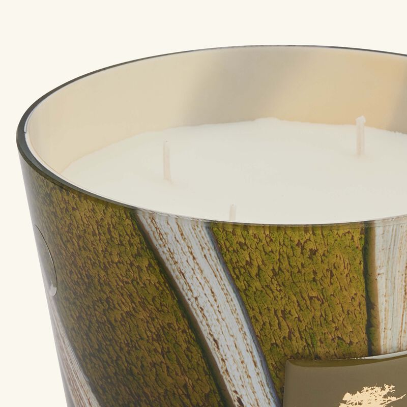 baobab collection woods sherwood candle max 16