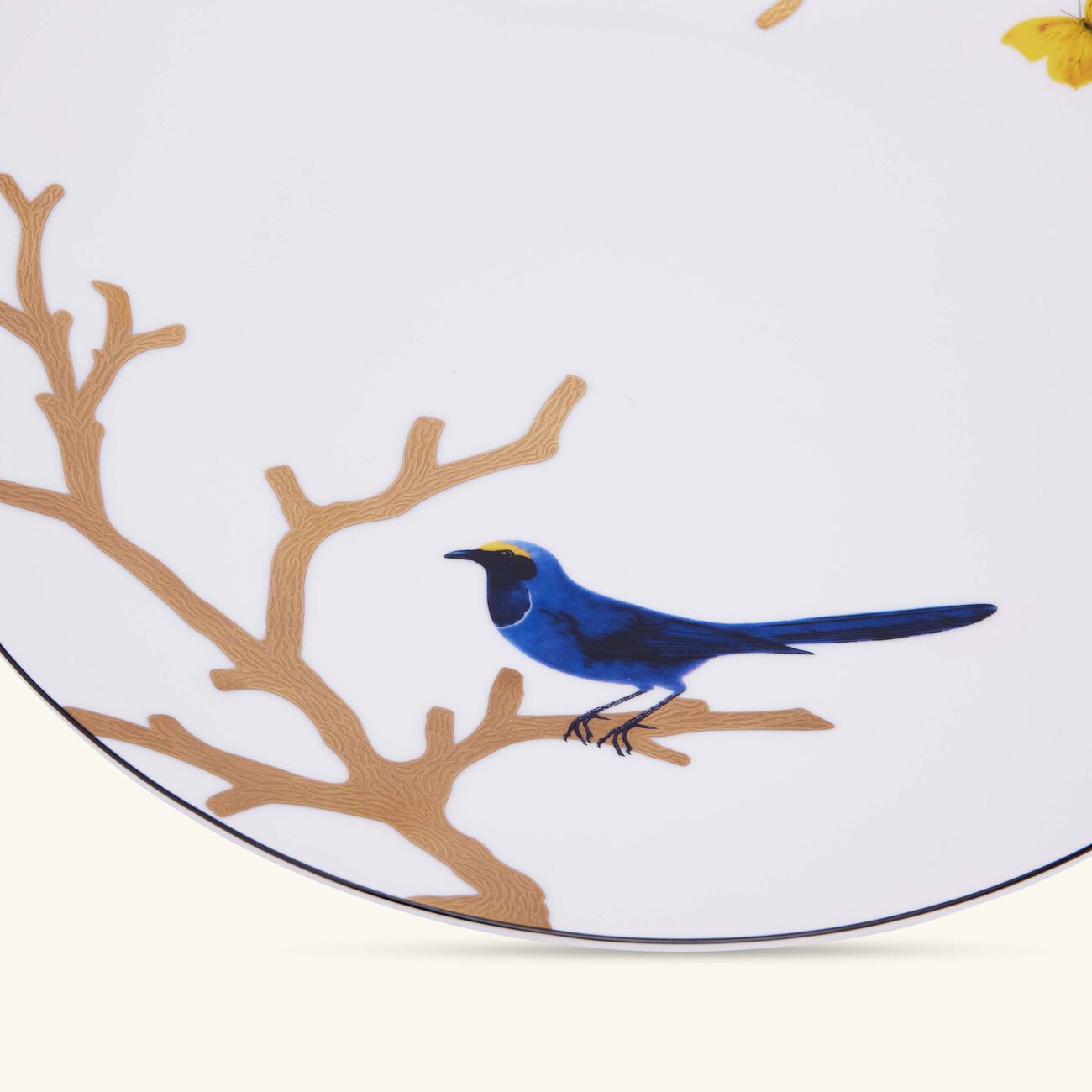 bernardaud aux oiseaux dinner plate round gold 26cm