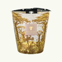 Sacred Trees Boukani Candle Max 16 baobab collection sacred trees boukani candle max 16