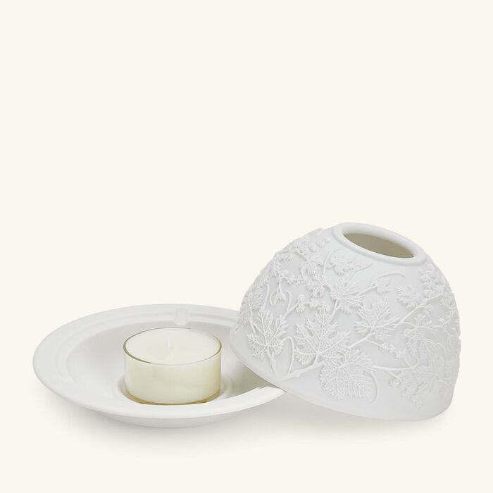 bernardaud grapes lithophanie