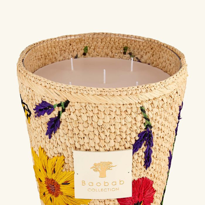 baobab collection ahitra candles max 24