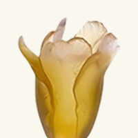 دوم مزهرية توليب أمبر صغيرة