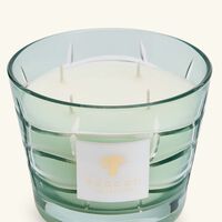 baobab collection waves nazare candle max 10