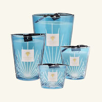 baobab collection west palm candle max 24