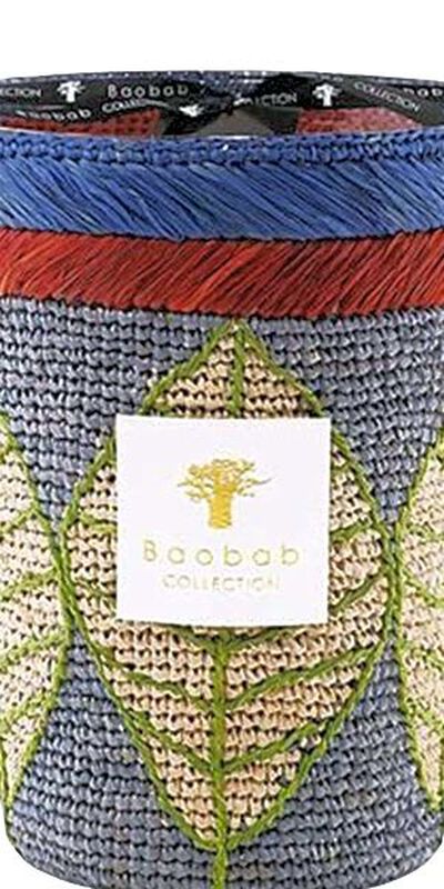 baobab collection ravintsara manga candle max 24
