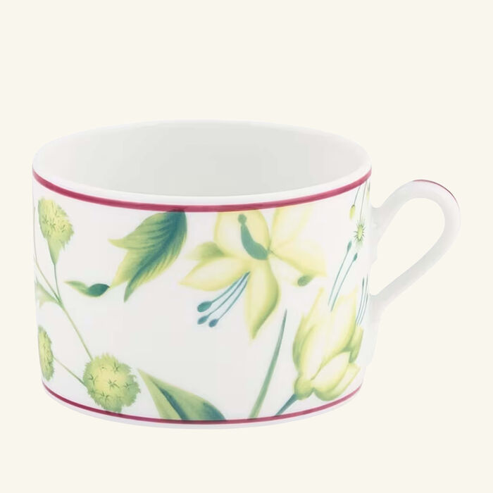 ginori 1739 florenza acanto impero tea cup green