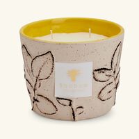 baobab collection folia calanque candle max 10