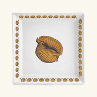 fornasetti giro di conchiglie trinket tray square small gold