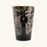 baobab collection sacred trees kani candle maxi max