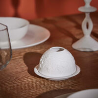 bernardaud butterflies in flight led lithophanie