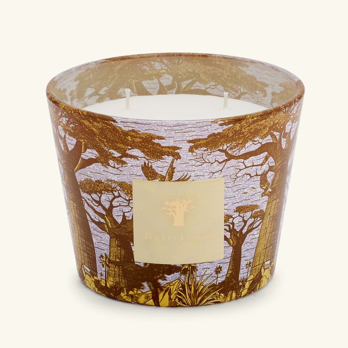 baobab collection sacred trees cocody candle max 10