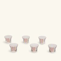 Nagham Arabic Coffee Cup Pink Set of 6 dimlaj nagham arabic coffee cup pink set of 6