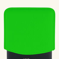 st dupont fluo cigarettes case green