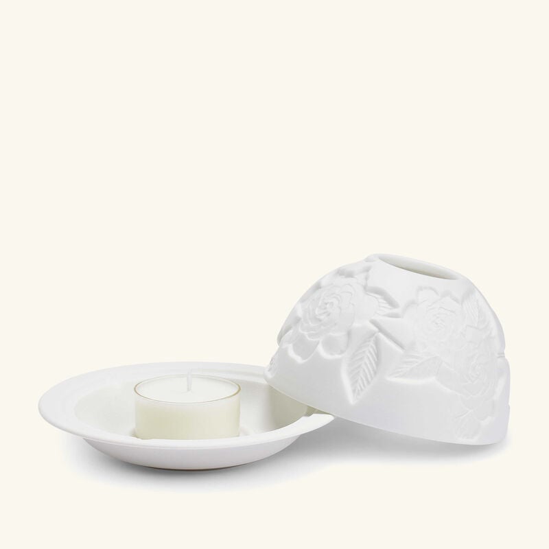 Gardenia Flower Lithophanie bernardaud gardenia flower lithophanie