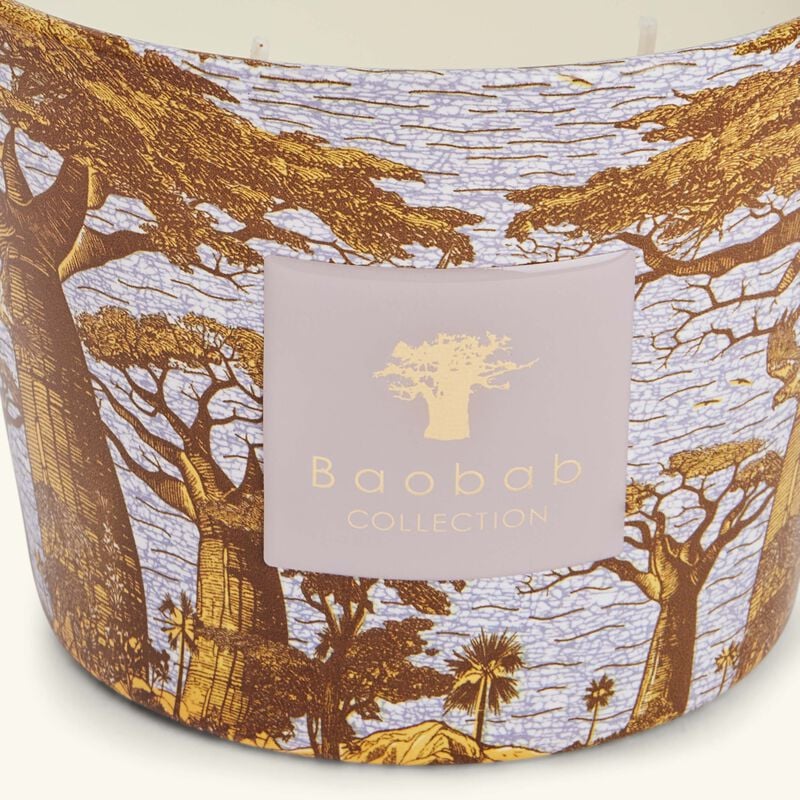 Sacred Trees Boukani Candle Max 10 baobab collection sacred trees boukani candle max 10