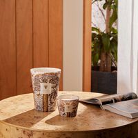 baobab collection sacred trees dualla candle max 24