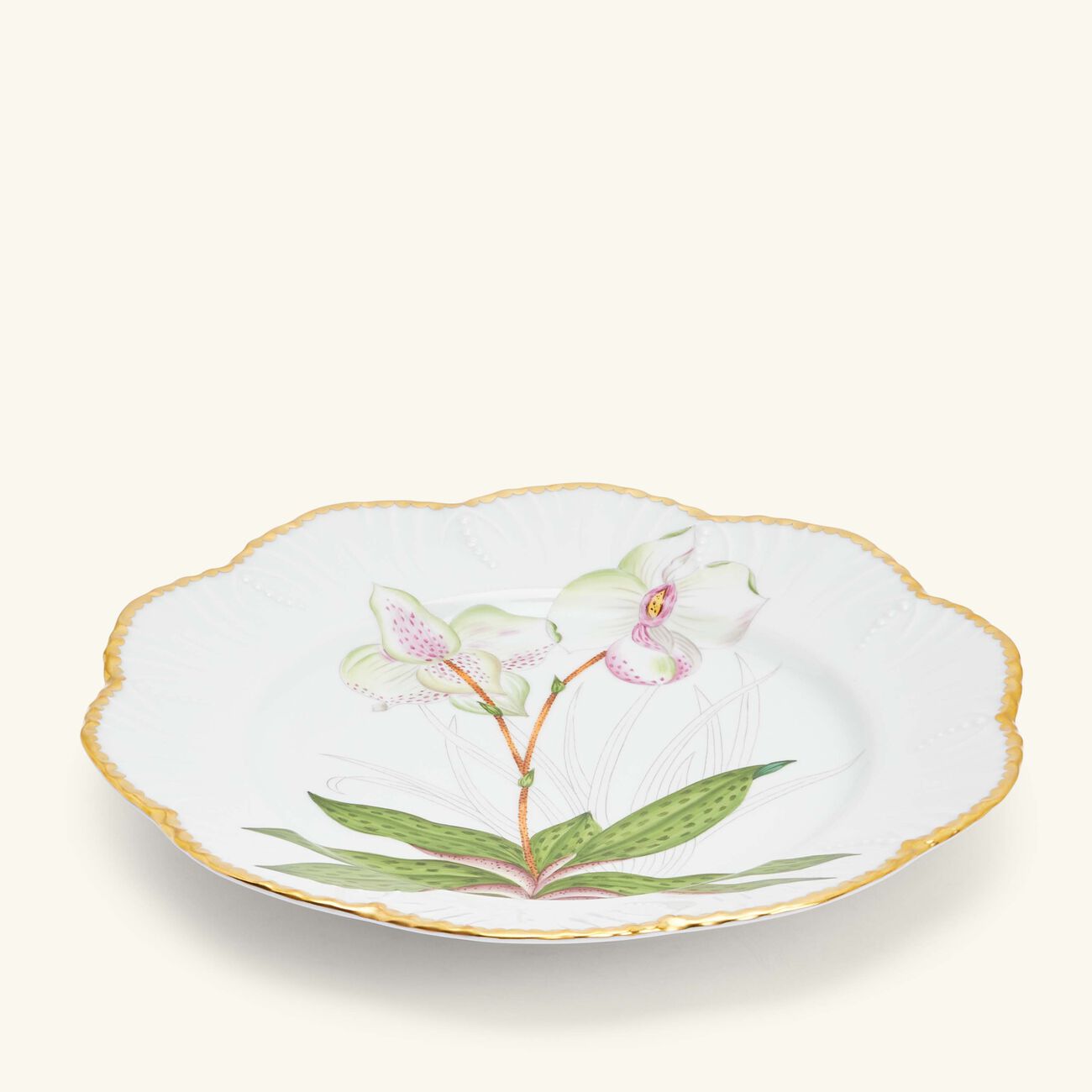 pinto paris histoires d orchidees dinner plate round green 26cm