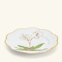 pinto paris histoires d orchidees dinner plate round green 26cm