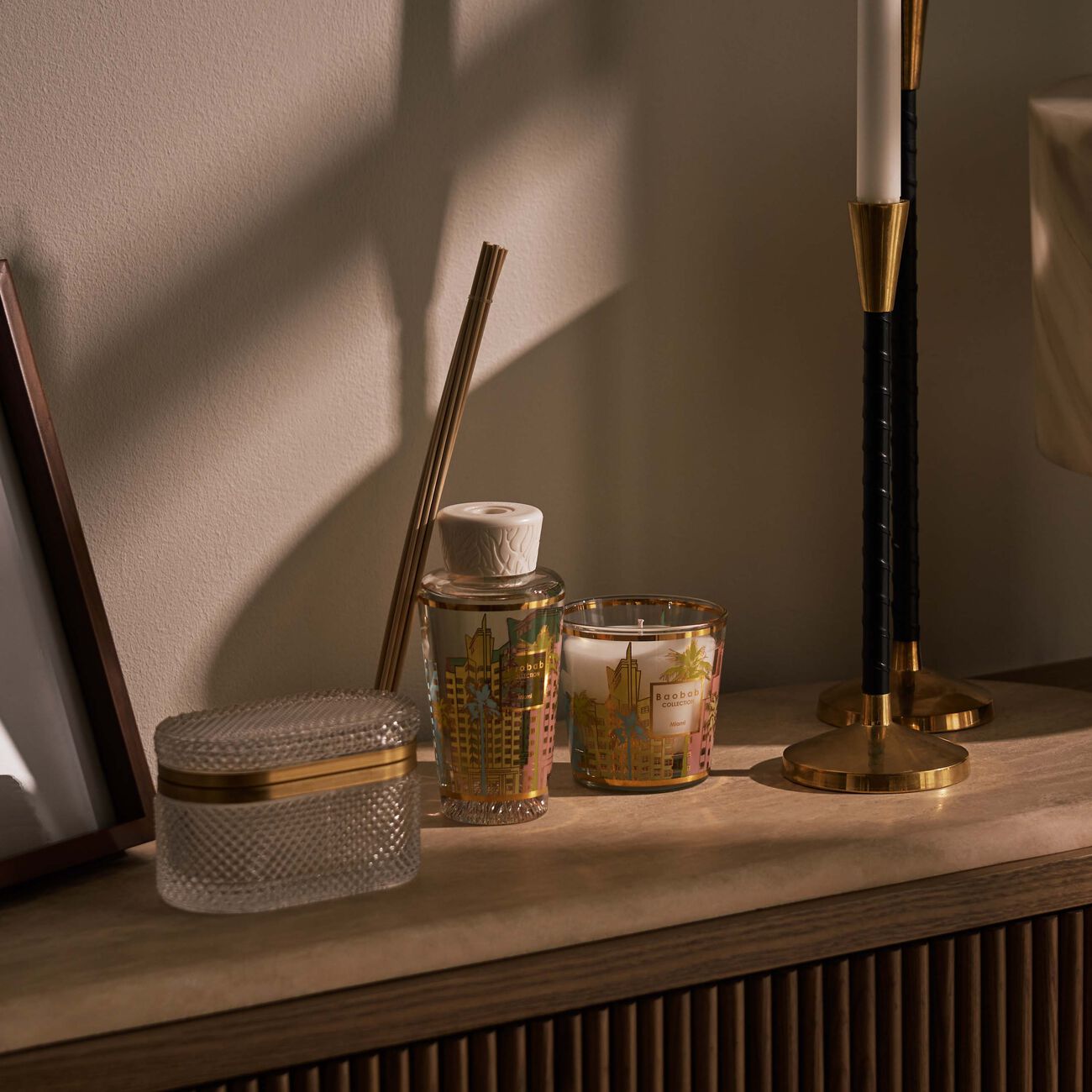 baobab collection my first baobab  miami giftbox