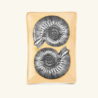 fornasetti giro di conchiglie ashtray rectangular small gold