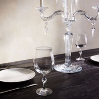 baccarat passion wine glass clear set of 2