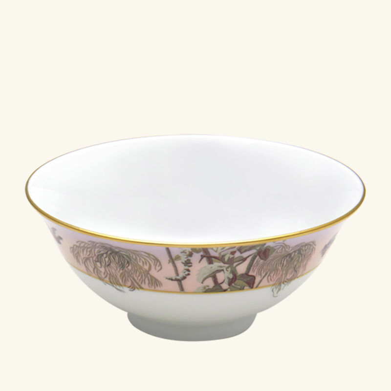 haviland le br sil bowl