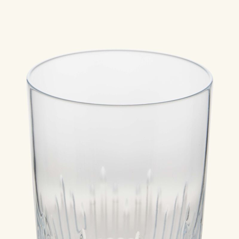 baccarat nancy drinking glass clear set of 2