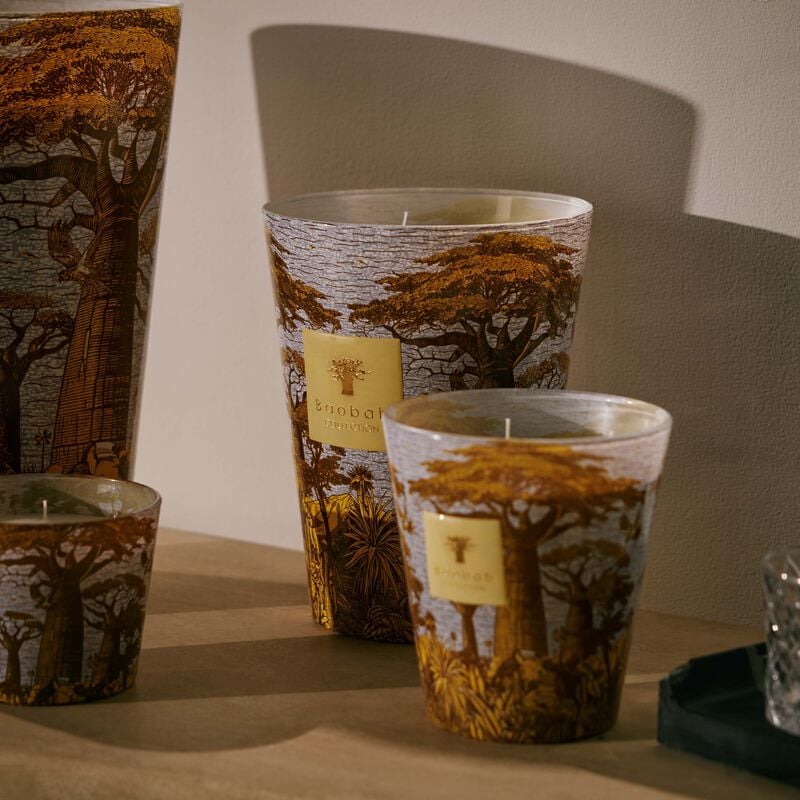 باوباب شمعة سيكرد تريز كوكودي ماكس 24