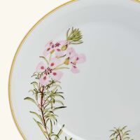 bernardaud jardin indien open vegetable bowl green 24cm