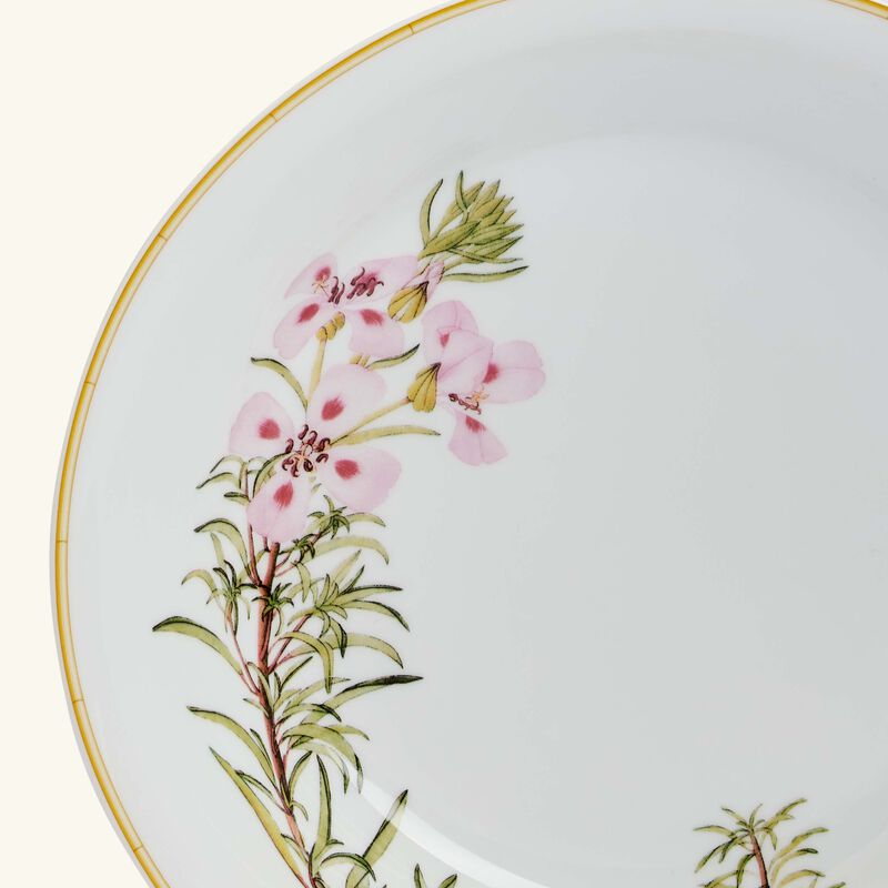 bernardaud jardin indien open vegetable bowl green 24cm