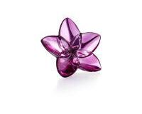 The Bloom Collection The Bloom Collection, small
