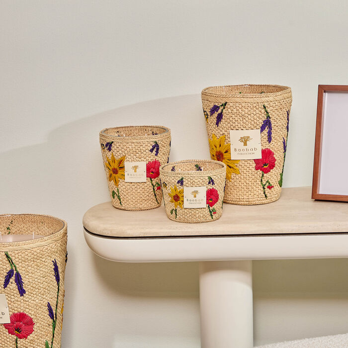 baobab collection ahitra candles max 10