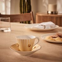 bernardaud delphos brick tea cup saucer pattern
