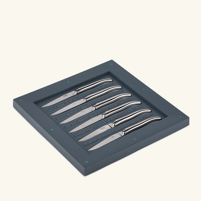Philippe Starck Table Knife Silver Set of 6 forge de laguiole philippe starck table knife silver set of 6