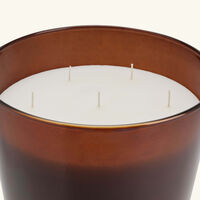 baobab collection cuir de russie candle maxi max