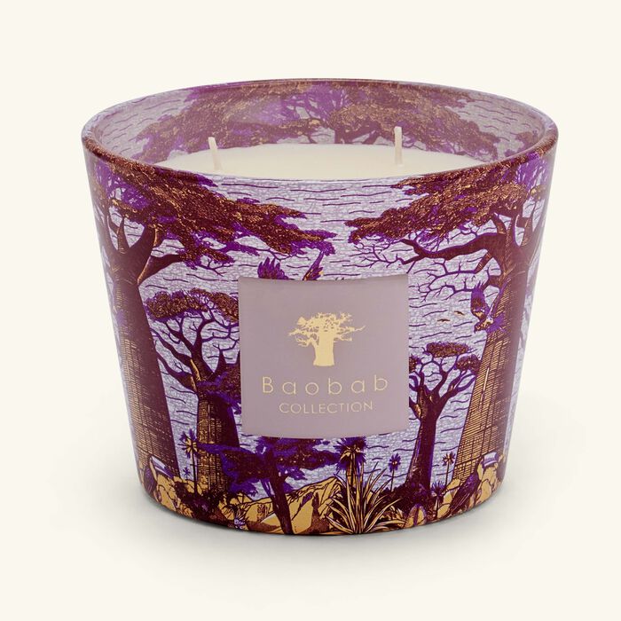 baobab collection sacred trees massasso candle max 10