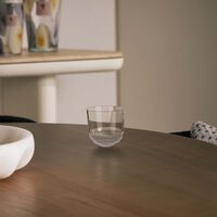 ruckl heroine rei drinking glass clear