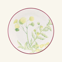 Florenza Acanto Impero Tea Cup Saucer Green ginori 1741 florenza acanto impero tea cup saucer green