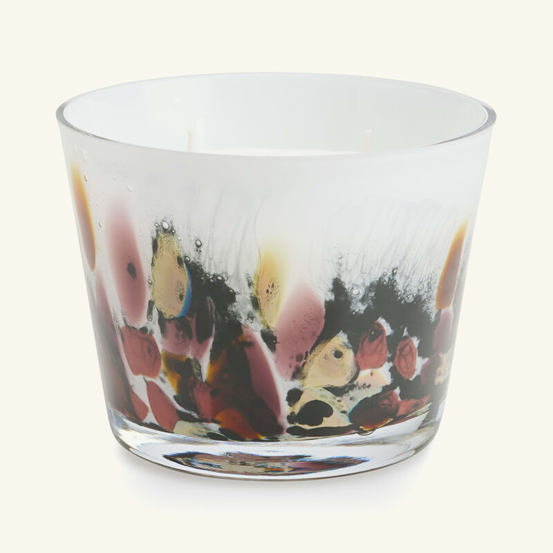 baobab collection rainforest tanjung candle max 10