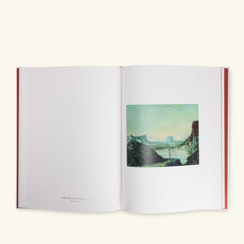 assouline self portraits from 1800 to the present book 37x26cm