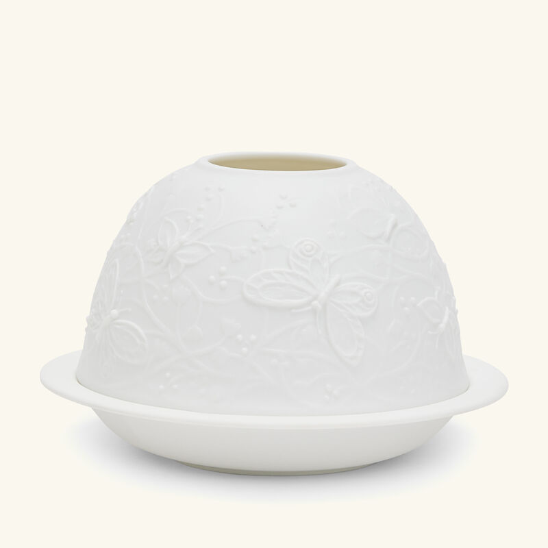 Hummingbirds Led Lithophanie bernardaud hummingbirds led lithophanie