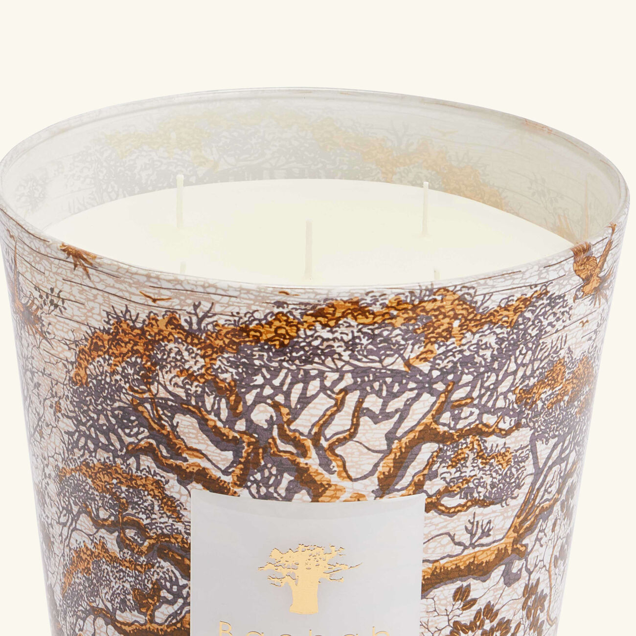 baobab collection sacred trees dualla candle max 24
