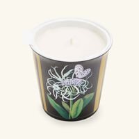 bernardaud natura jonquille de mer tumbler with candle