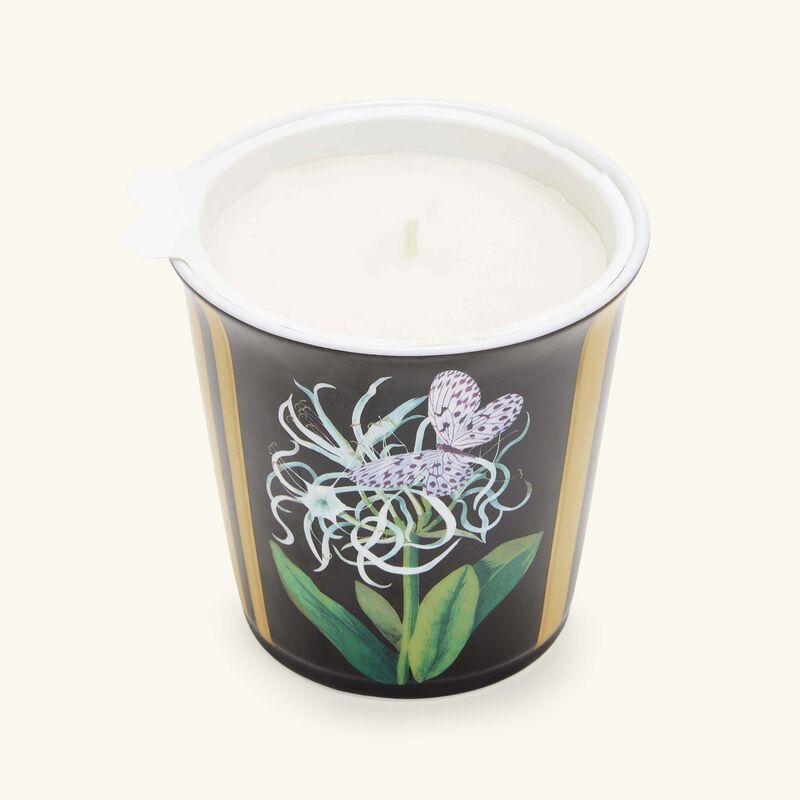 bernardaud natura jonquille de mer tumbler with candle